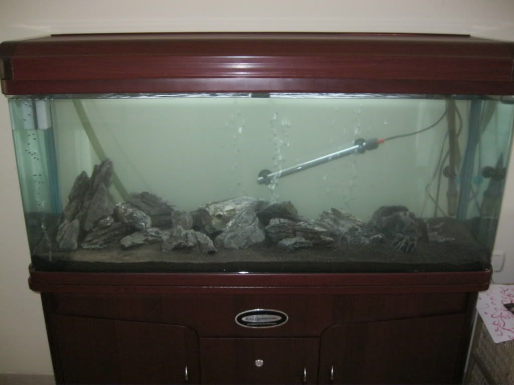 IMG_0125.jpg