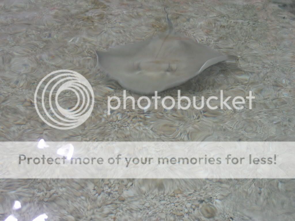 Picture023.jpg
