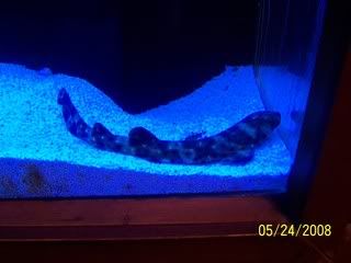 100_3164.jpg