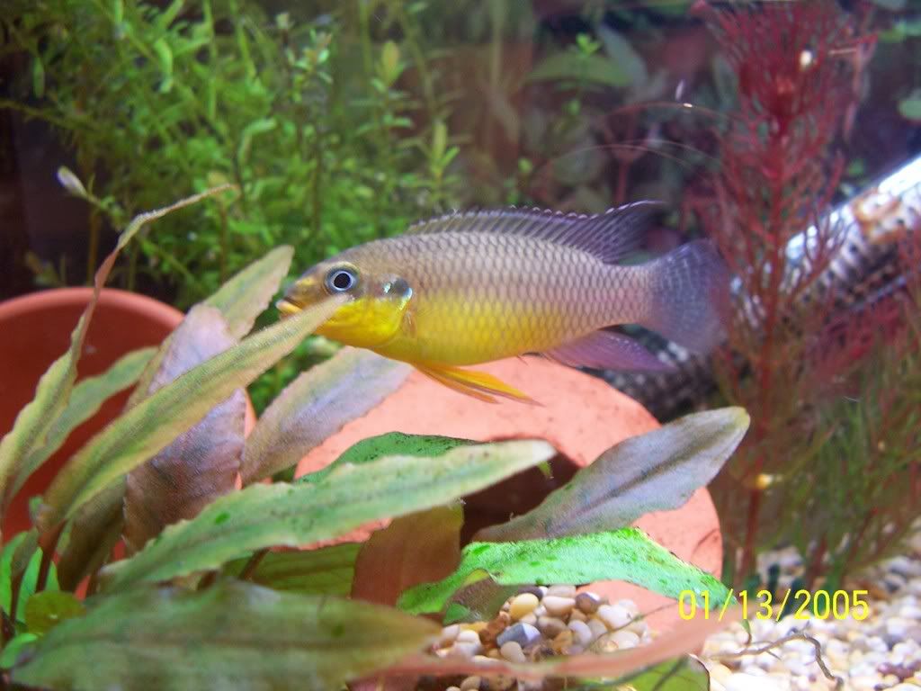 100_3072.jpg