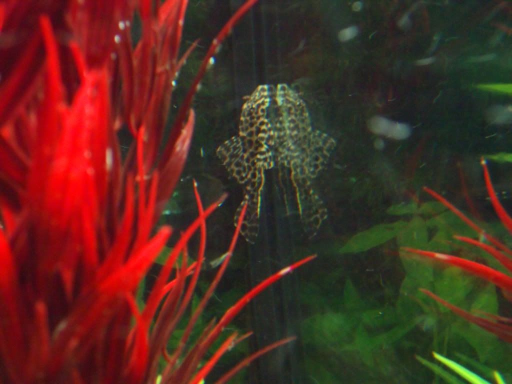 DSCF1290.jpg
