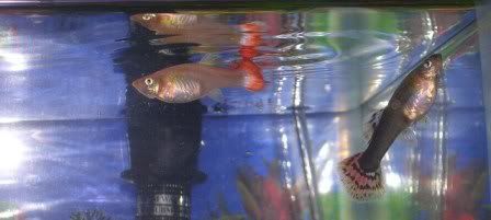 DSCN2518.jpg