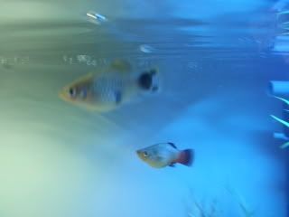 20121015_110033.jpg