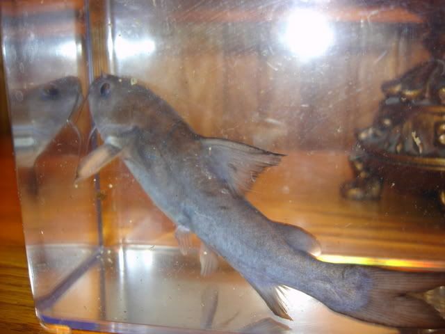 DSC04230.jpg
