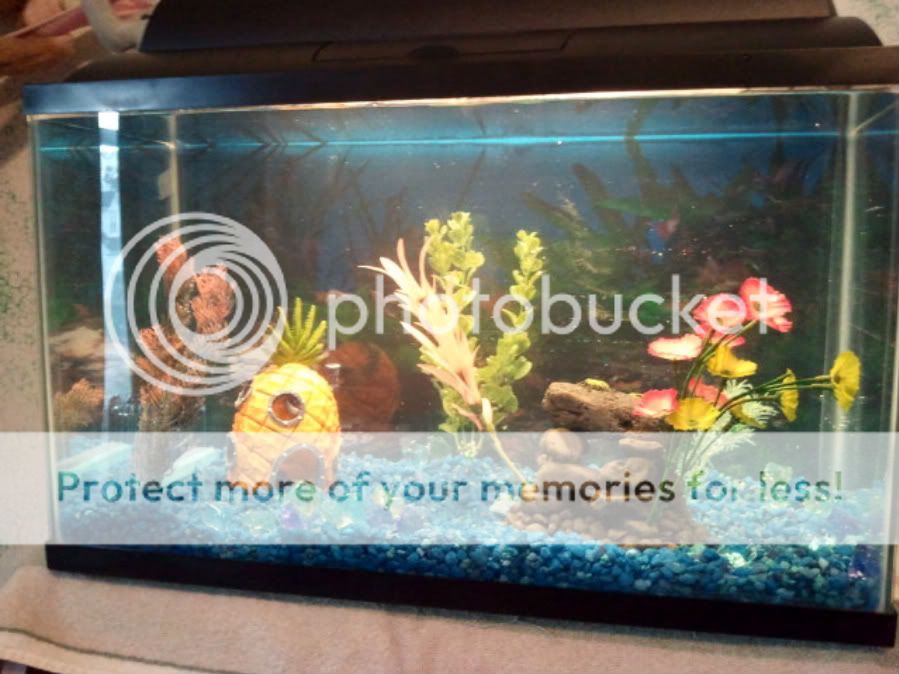 2011-04-26140831.jpg