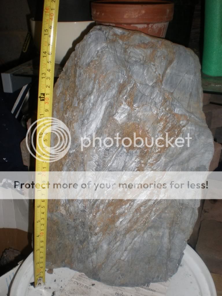 Pa171001.jpg
