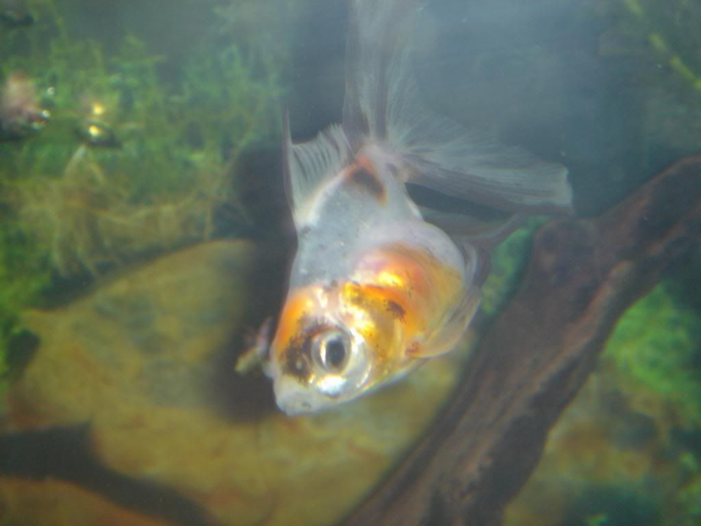 DSC09862.jpg