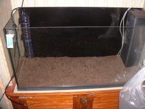 tetraplantsubstrate.jpg