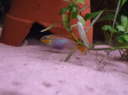 DSCF2110dedit1.jpg