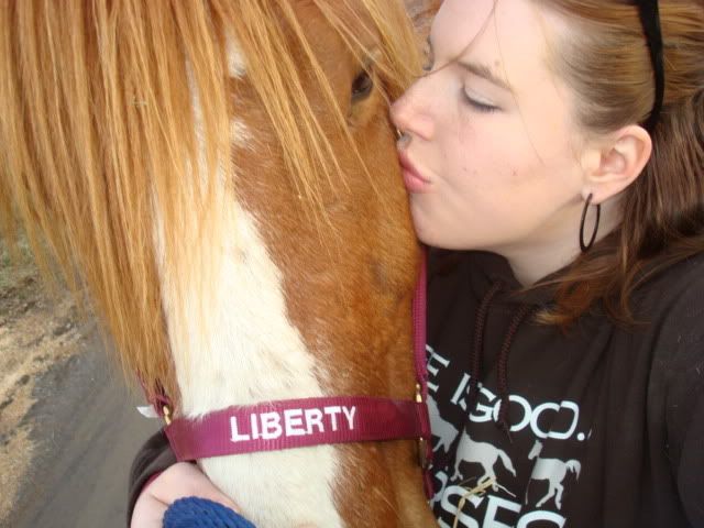 horsies019.jpg