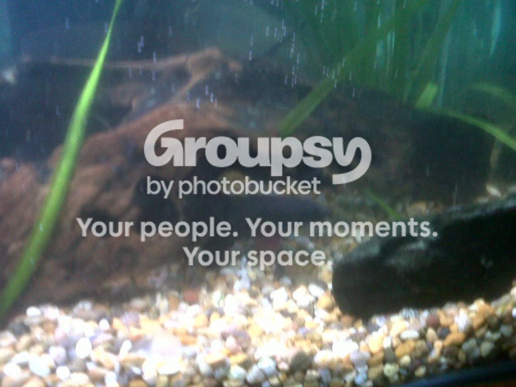 IMG00059-20110518-1659.jpg