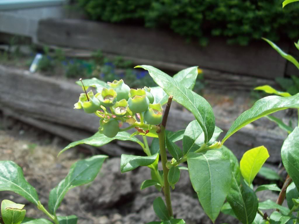 008-24.jpg