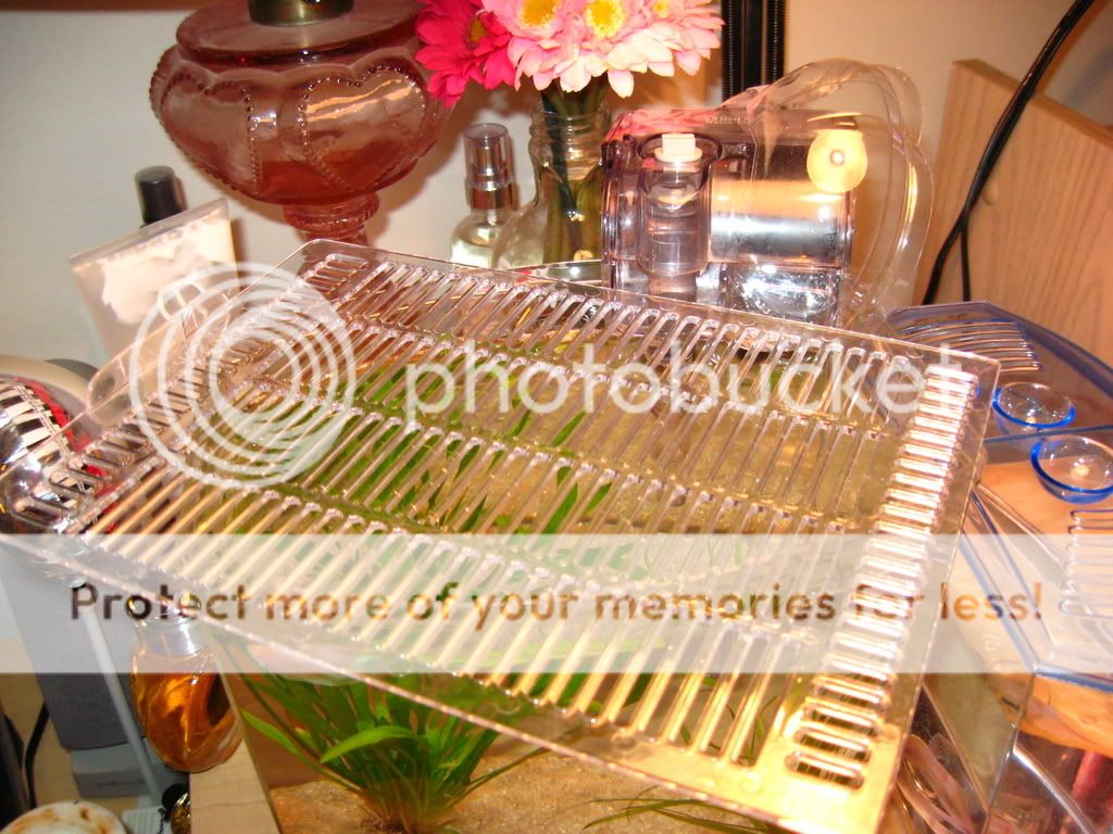 IMG_3874.jpg