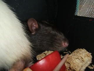 DSCF2853.jpg