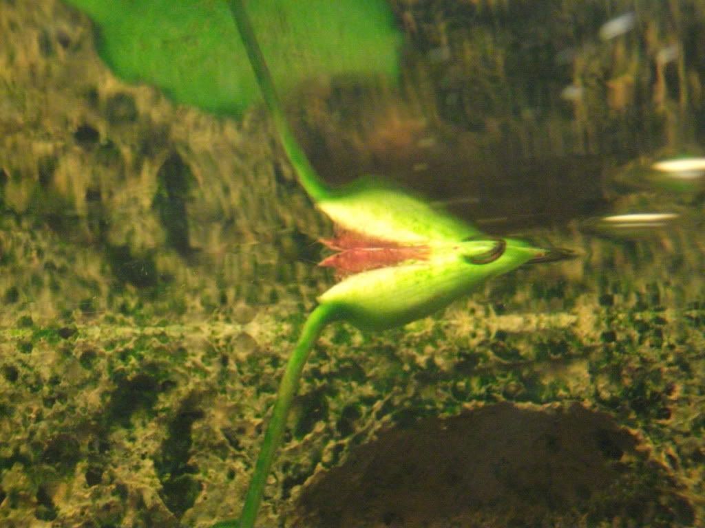 DSCF0507.jpg
