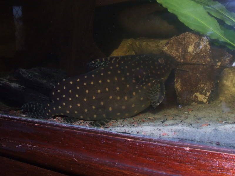 DSCF3158.jpg
