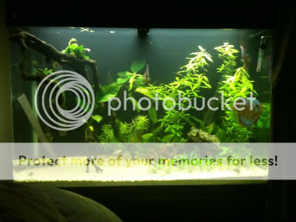 IMG_0718.jpg