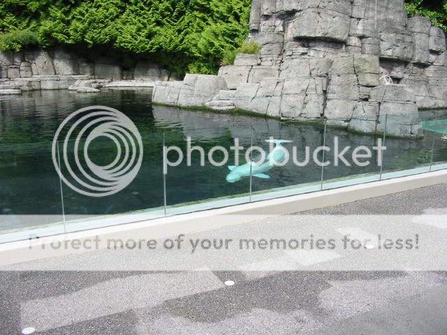 Picture019.jpg