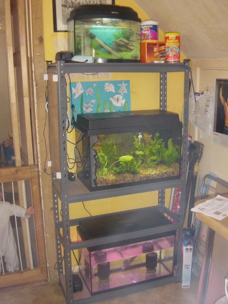 Frysetup_zpsef00539d.jpg