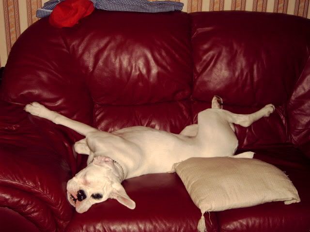 Picture084.jpg