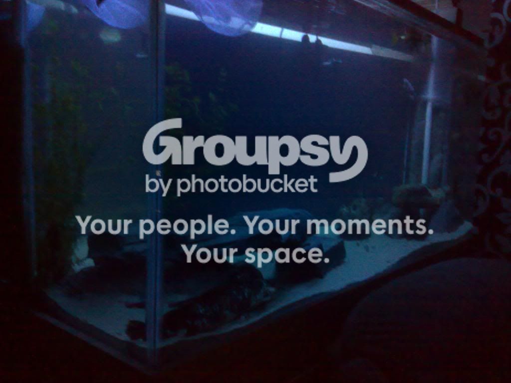 08052009290.jpg