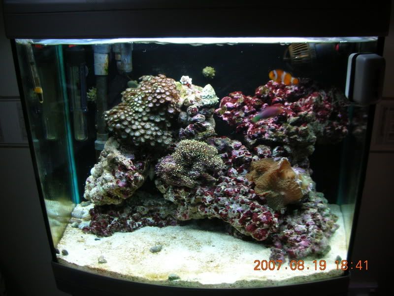 DSCN1880.jpg