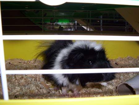 Picture013.jpg