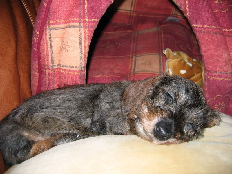 holly009.jpg