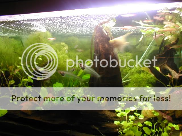 Picture086.jpg