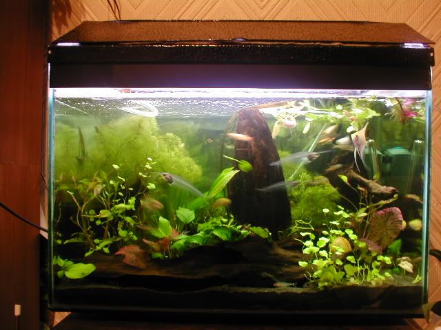 Picture055.jpg