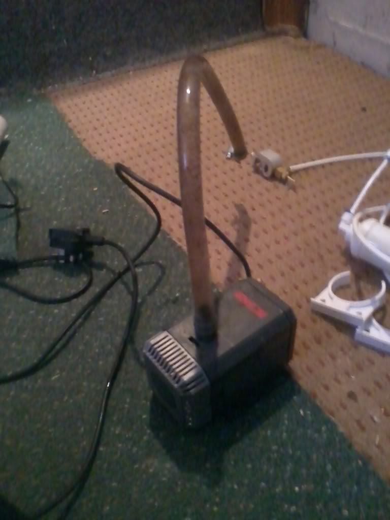 2011-04-02121606.jpg