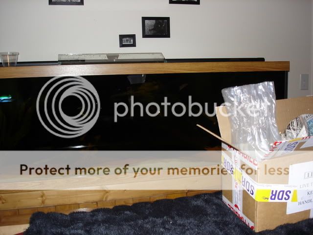 DSC04340.jpg