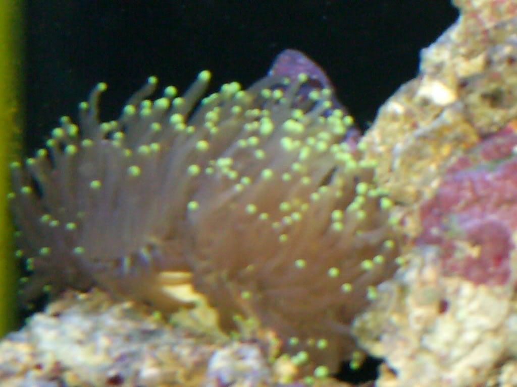 HPIM0449.jpg