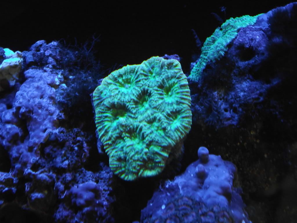 DSCF2069.jpg