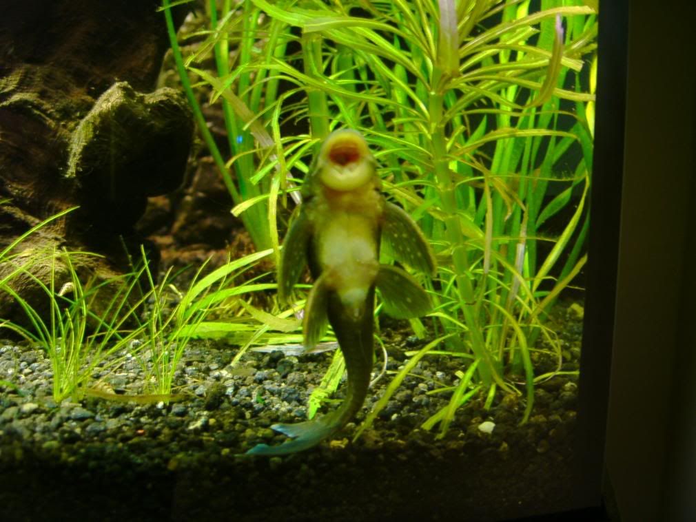 IMAG0041-3.jpg