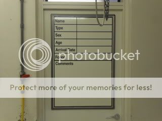 SDC11704.jpg