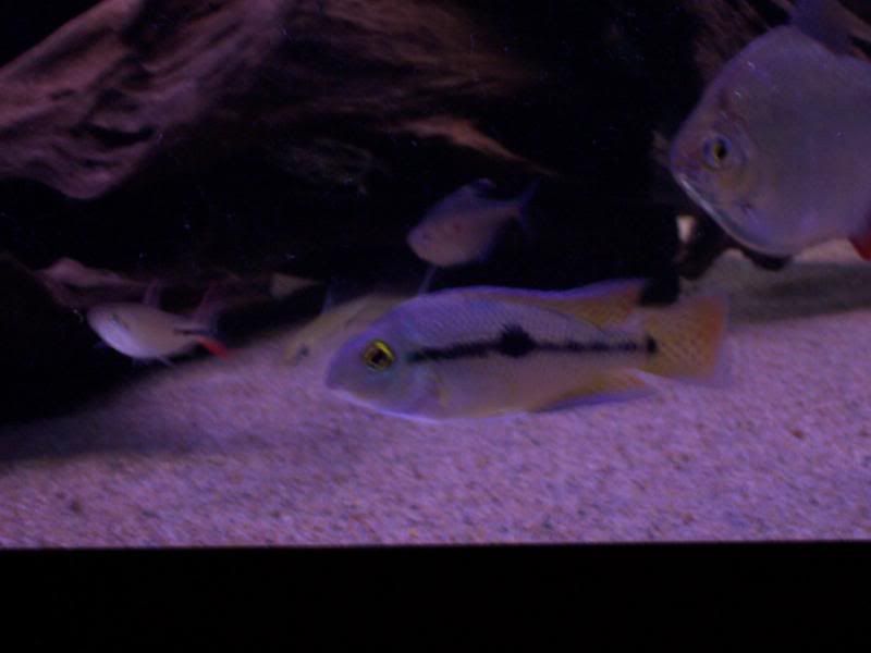 100_6060.jpg