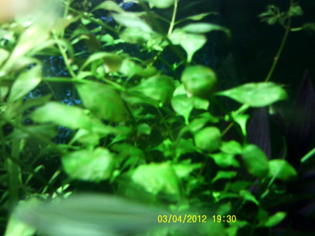 003-2.jpg