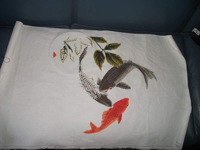 DSCF2081.jpg