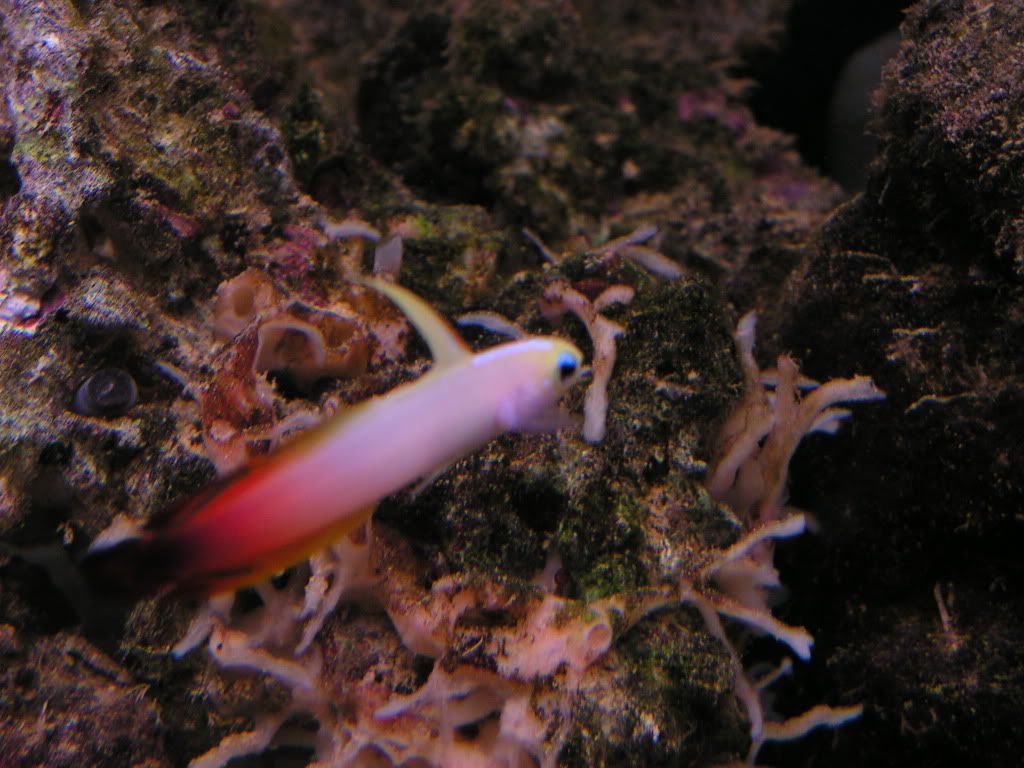 PICT0506.jpg