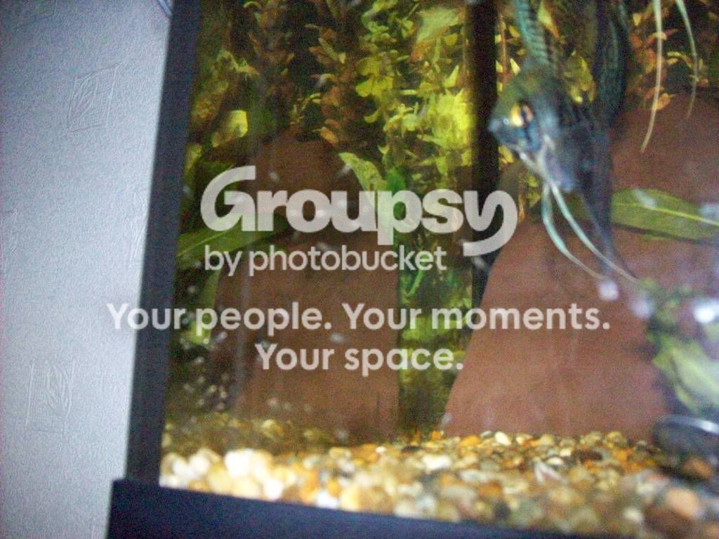 000_0100.jpg