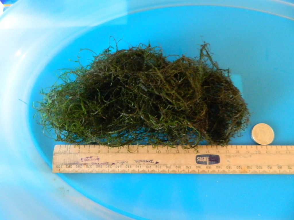 DSCN1387.jpg