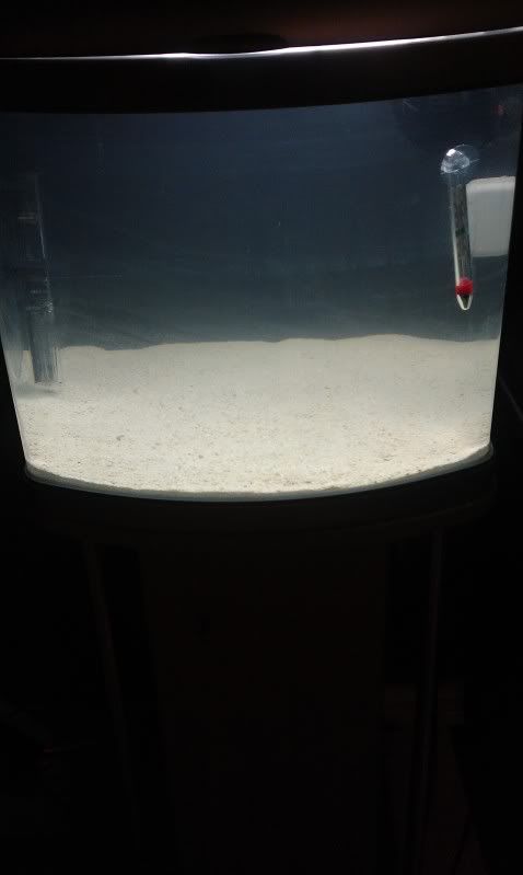 IMAG0386.jpg