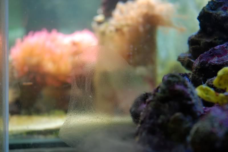 DSC_5818.jpg