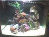 DSC00048-1.jpg