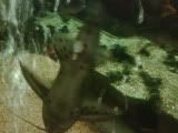 IMG00528-20090329-1900.jpg