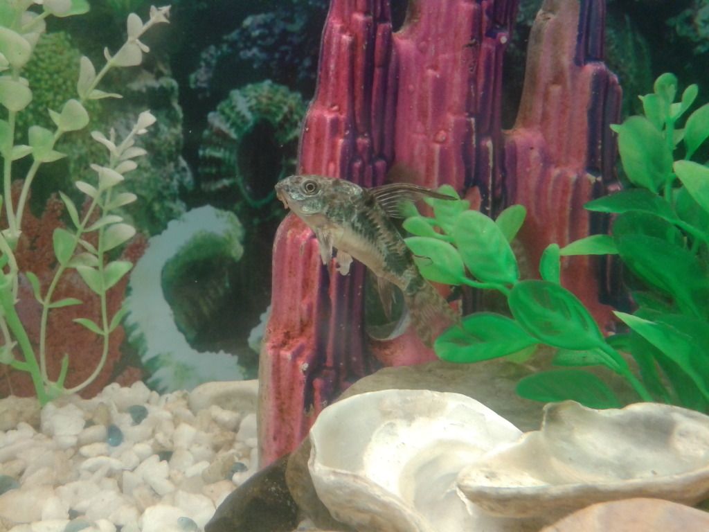 20120926_144401.jpg