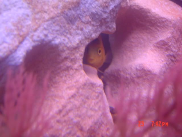 DSC03130.jpg