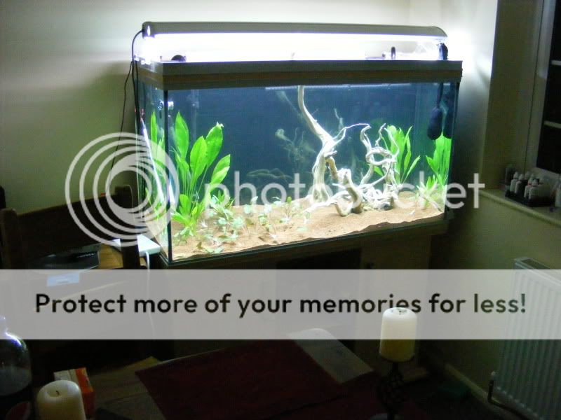 DSCF9266.jpg