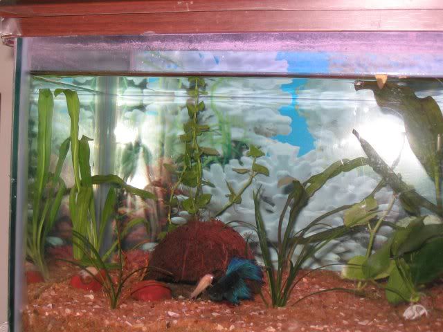 nov_19_2k5_0007.jpg